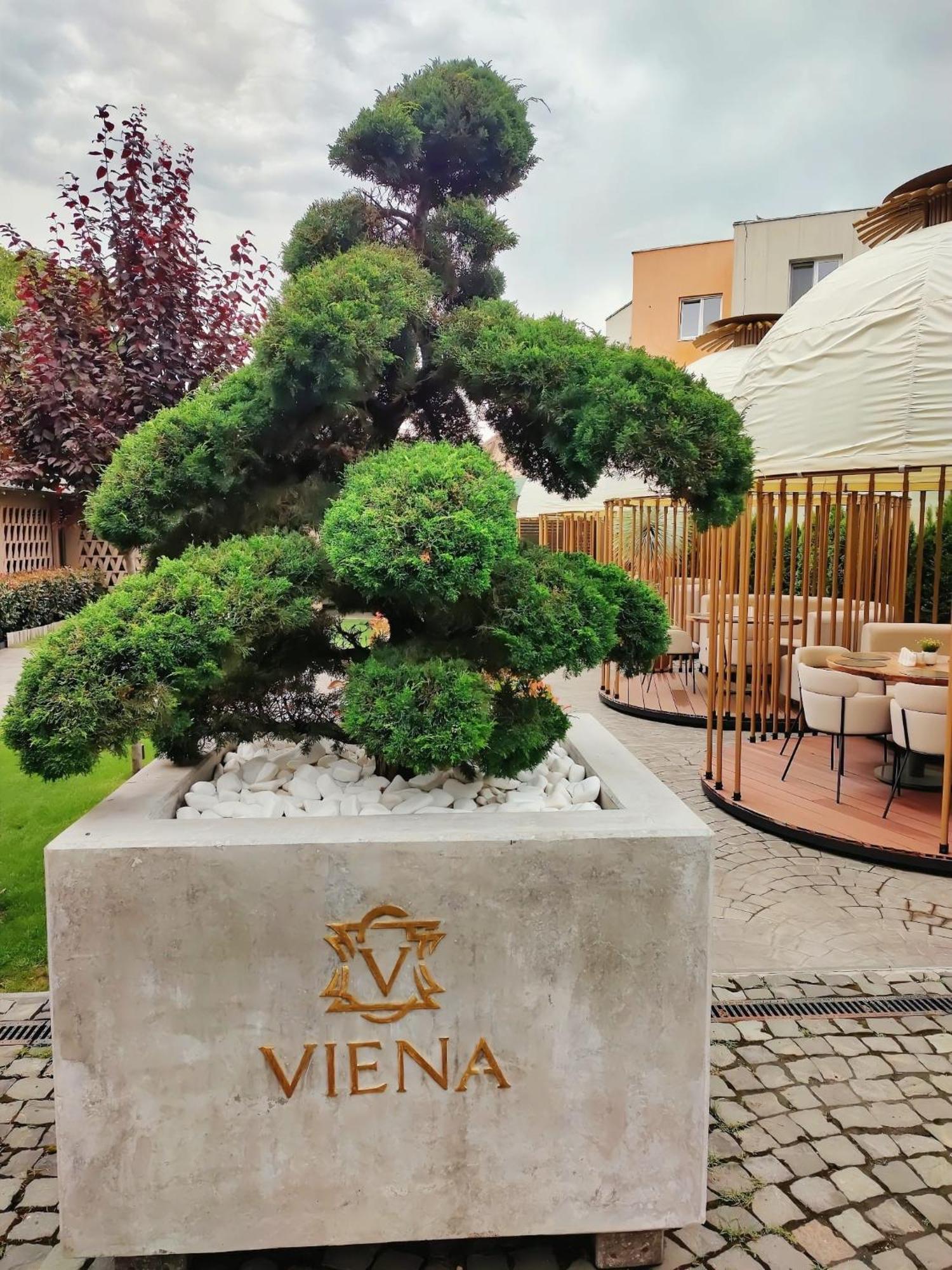 Hotel Viena Máréfalva Kültér fotó